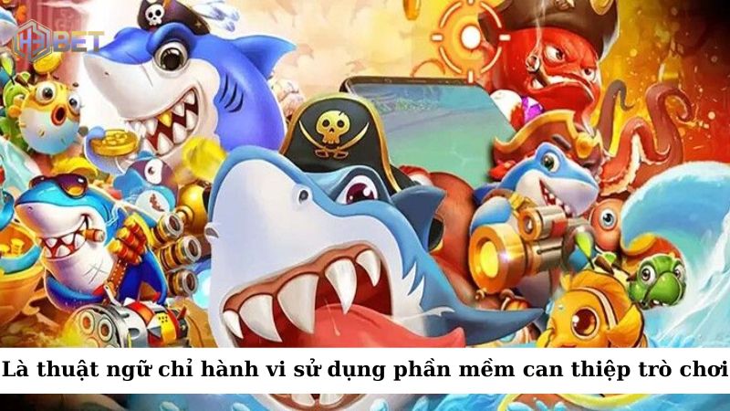 Là thuật ngữ dùng để chỉ hành vi sử dụng phần mềm hoặc công cụ can thiệp vào trò chơi
