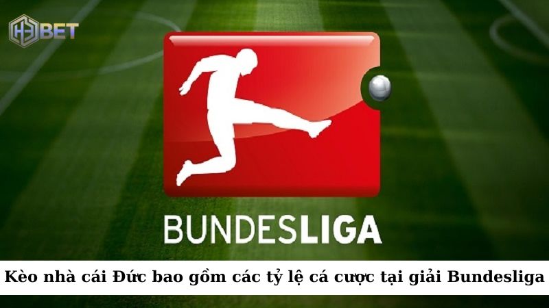 Kèo nhà cái Đức bao gồm các tỷ lệ cá cược tại các trận đấu trong giải Bundesliga