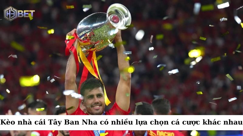 Kèo nhà cái Tây Ban Nha cung cấp cho người chơi nhiều lựa chọn cá cược khác nhau