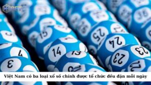 Tại Việt Nam, có ba loại xổ số chính được tổ chức đều đặn mỗi ngày
